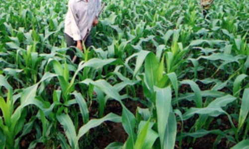 Trình Chính phủ đề án kích cầu tiêu dùng