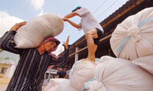 Gạo xuất khẩu được giá: Khoan mừng vội