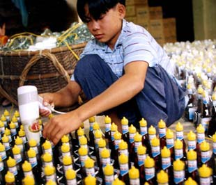 Báo cáo của Vụ Tín dụng cho rằng tỷ trọng vốn chủ sở hữu của doanh nghiệp vừa và nhỏ trên tổng nguồn vốn hoạt động phần lớn ở mức thấp, doanh nghiệp hoạt động chủ yếu bằng nguồn vốn vay ngân hàng nên hiệu quả kinh doanh thấp - Ảnh: Việt Tuấn.