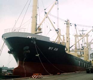 Công ty Cổ phần vận tải biển Vinaship sẽ niêm yết 20 triệu cổ phiếu trên sàn Tp.HCM.