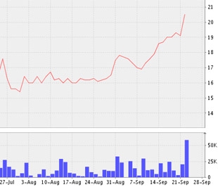 Biểu đồ diễn biến giá cổ phiếu SFN từ cuối tháng 7/2009 đến nay - Nguồn: VNDS.
