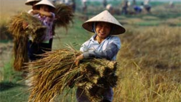 Nông nghiệp tìm cách đối phó khủng hoảng tài chính