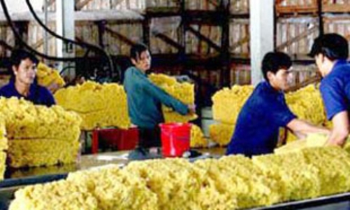 Giá cao su xuất khẩu tăng mạnh so với đầu năm