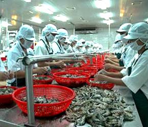 Thủy sản là một trong 5 mặt hàng có kim ngạch xuất khẩu vượt 1 tỷ USD trong 5 tháng đầu năm 2007.