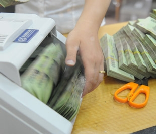 Với chính sách hỗ trợ lãi suất, kích cầu của Chính phủ, tăng trưởng tín dụng trên thực tế đã tăng nhanh, nhất là trong quý 2/2009 và sau 7 tháng đầu năm, mức tăng đã là 22,76% - Ảnh: Quang Liên.