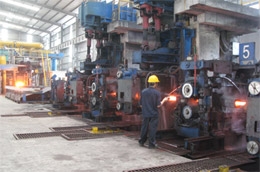 Đại hội cổ đông HPG đã thông qua kế hoạch kinh doanh 2010 với doanh thu dự kiến đạt 12.340 tỷ đồng và lợi nhuận sau thuế dự kiến đạt 1.350 tỷ đồng.