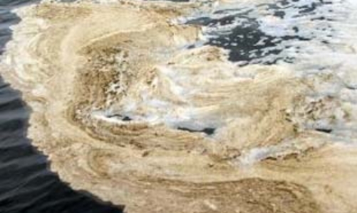 Cảnh giác với “xuất khẩu” ô nhiễm