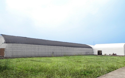 <font face="Arial, Verdana"><span style="font-size: 13.3333px;">Trung tâm hợp tác nông nghiệp thông minh FPT - Fujitsu, có diện tích 403 m2, gồm nhà kính, nhà máy rau và khu trưng bày - Ảnh: FPT.</span></font>