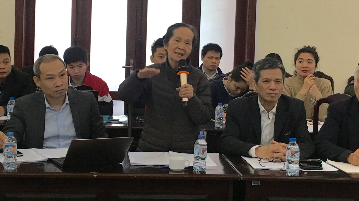 Chuyên gia kinh tế Phạm Chi Lan phát biểu tại hội thảo.