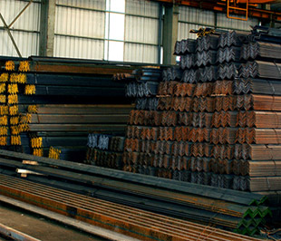 Ngày 15/5/2009, Công ty Gang Thép Thái Nguyên sẽ bán đấu giá 26.561.000 cổ phần với giá khởi điểm 10.100 đồng/cổ phần.