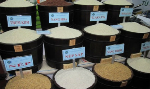 7.000 tỷ tìm lại “thời vang bóng” gạo Việt