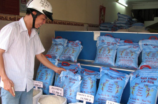 Khách mua gạo tại cửa hàng của Công ty Docimexco.