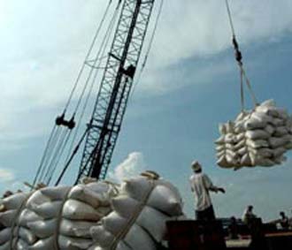 Cần phải có một cuộc “cách mạng xanh” lần thứ hai, tăng đầu tư cho nghiên cứu kết hợp với cải cách chính sách để tăng hiệu quả kinh tế từ thị trường gạo để giúp bình ổn giá lúa gạo và giảm nghèo.