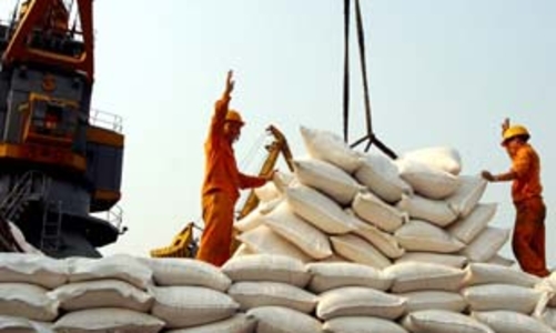 Xuất khẩu gạo gặp khó vì khủng hoảng tài chính