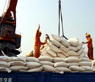 Nếu so với giá gạo thời "hoàng kim" tháng 3,4/2008 thì giá gạo thế giới hiện nay đã bị giảm tới 60% - Ảnh: Việt Tuấn.