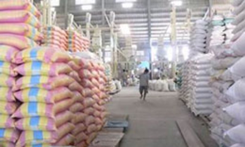 Mua 50.000 tấn gạo dự trữ quốc gia năm 2010