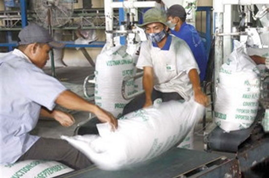 Trong ảnh: Xuất khẩu gạo tại xí nghiệp chế biến lương thực Càng Long, Trà Vinh - Ảnh: Đình Huệ (TTXVN)