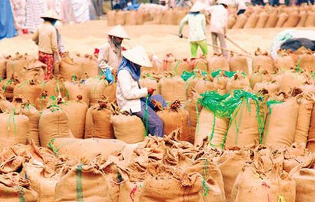 Gạo là một trong những mặt hàng xuất khẩu chủ lực của Việt Nam.