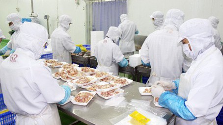 Trong 3 năm (2016-2018), sản lượng thịt gia cầm chiếm 17,5-19% trong tổng sản lượng thịt các loại của cả nước.