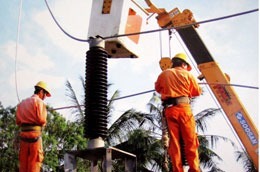 Do thời tiết khắc nghiệt, sản lượng điện thiếu hụt trong năm 2010 là gần 7 tỷ kWh.