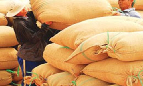 Xuất khẩu nông, lâm sản 4 tháng tăng 12,8% 