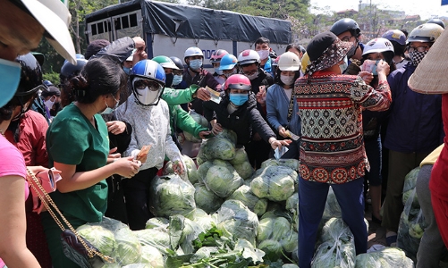 Giải cứu nông sản cho Hải Dương: Giải pháp nào mới là căn cơ?