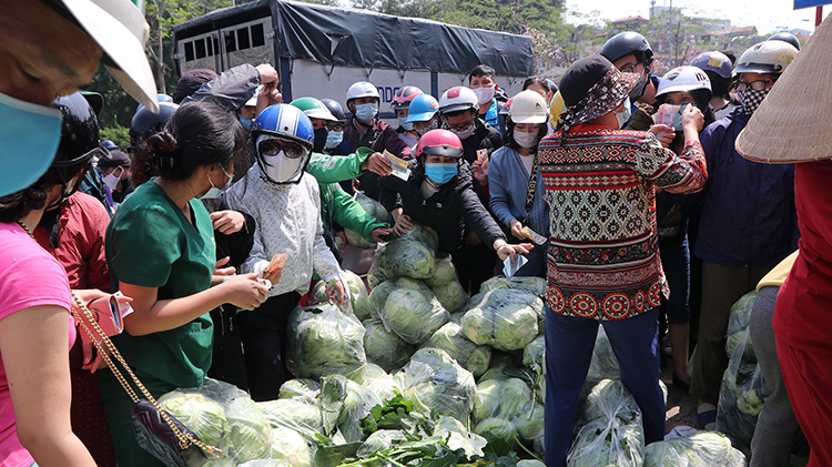 Nhiều điểm giải cứu nông sản Hải Dương đã xuất hiện ở Hà Nội gần đây