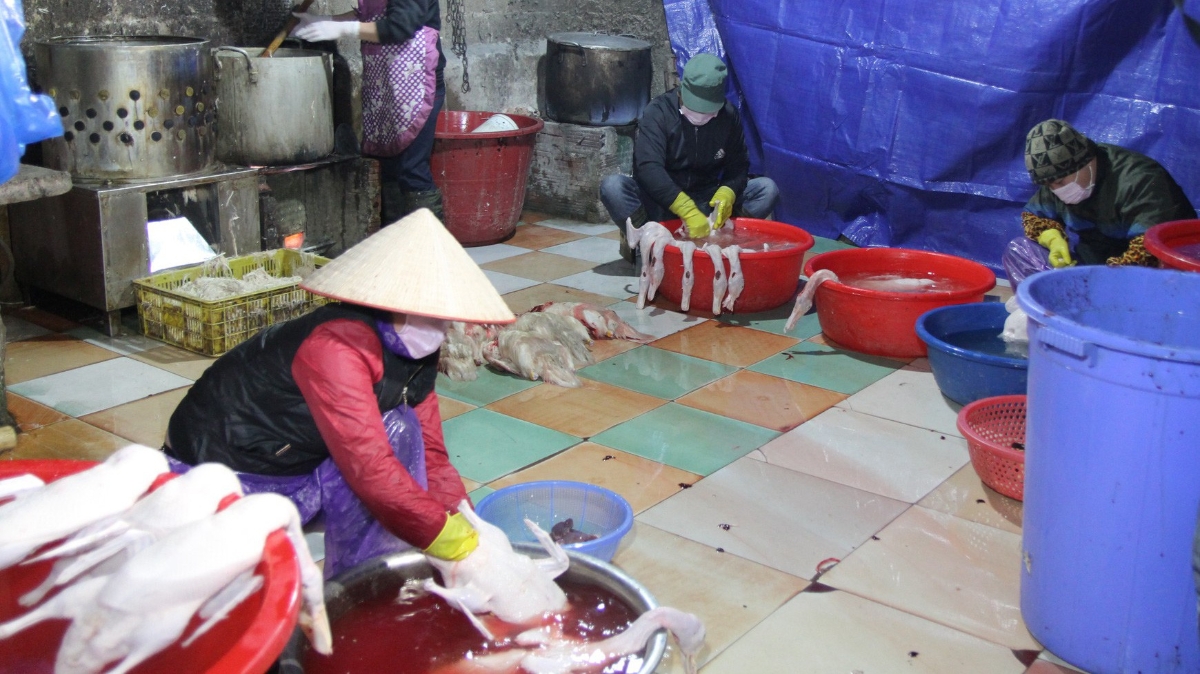 Cơ sở giết mổ ở Lạng Sơn, một địa chỉ giám sát của đoàn giám sát của Quốc hội.