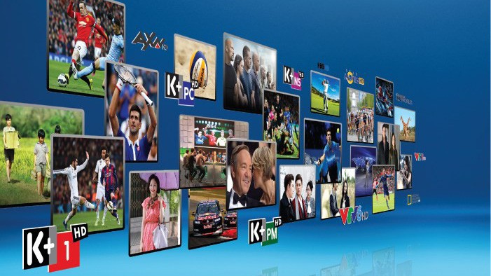 VSTV được thành lập năm 2009, bằng vốn góp liên doanh giữa VTV (góp 51%) và Canal+ (góp 49%). Nhiều năm qua, doanh nghiệp này liên tục rơi vào thua lỗ.