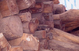 Các thị trường chính nhập khẩu đồ gỗ của Việt Nam như châu Âu và Bắc Mỹ là nơi mà luôn đòi hỏi sản phẩm phải có nguồn gốc từ rừng được quản lý bền vững.  