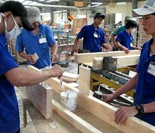 Cả nước hiện có khoảng 2.600 doanh nghiệp chế biến gỗ, sử dụng khoảng 170.000 lao động.