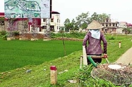 Để được tham gia góp đất vào dự án, khu đất được góp vốn phải phù hợp với quy hoạch sử dụng đất và thời hạn sử dụng đất của dự án.