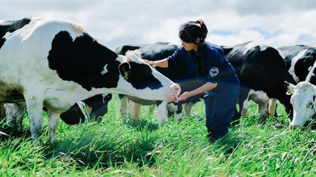 Mục tiêu của Vinamilk trong thương vụ này là Sữa Mộc Châu
