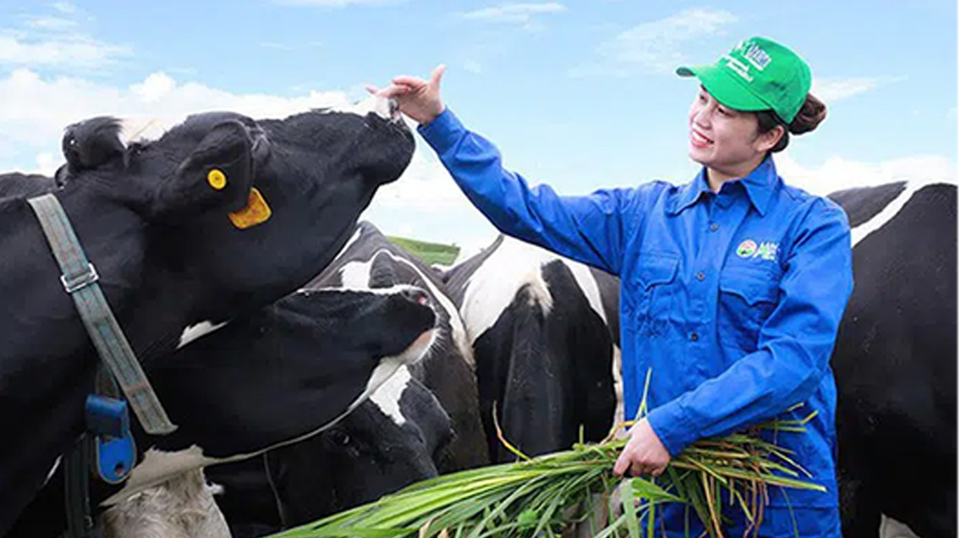 GTN dự kiến năm 2021 với doanh thu là 3.073 tỷ đồng, lợi nhuận trước thuế là 254 tỷ đồng, lần lượt tăng 8,7% và 0,2% so với thực hiện trong năm 2020.