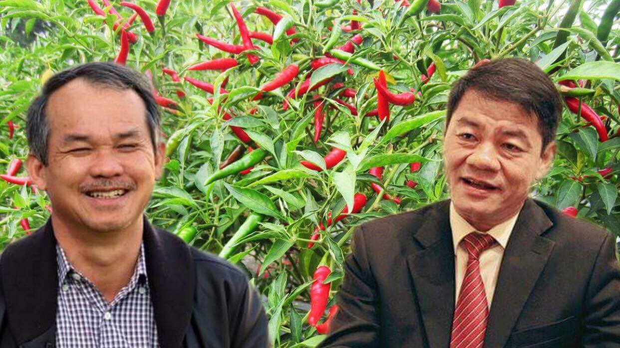 Giữa Hoàng Anh Gia Lai và Trường Hải có sự hợp tác sâu sắc. 