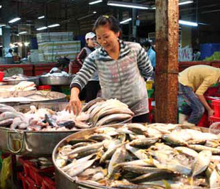 Hiện tại, thời tiết tương đối thuận lợi, sức mua cũng không có gì đột biến nên về cơ bản giá cả sẽ khó biến động mạnh - Ảnh minh hoạ