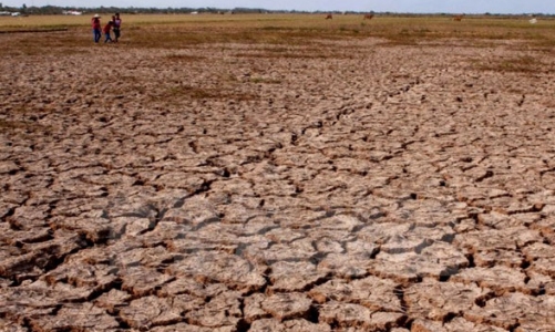 Hạn hán, xâm nhập mặn đã trầm trọng đến mức nào?