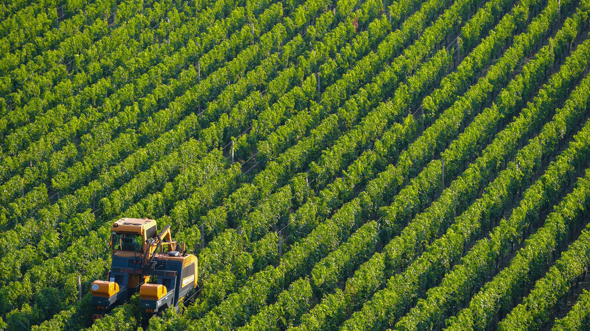 Bayer là Tập đoàn toàn cầu có chuyên môn trong các lĩnh vực về khoa học đời sống, bao gồm chăm sóc sức khỏe và nông nghiệp.