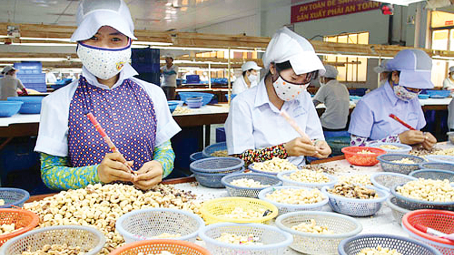 Trong quý đầu năm 2019, Campuchia là nguồn cung điều lớn nhất cho Việt Nam.