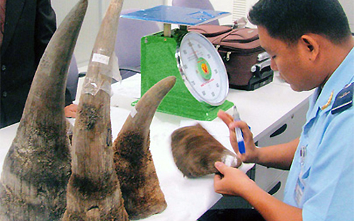 Đối tượng nước ngoài đánh vào đúng nhu cầu về sừng tê giác của người châu Á trong thời gian qua.<br>