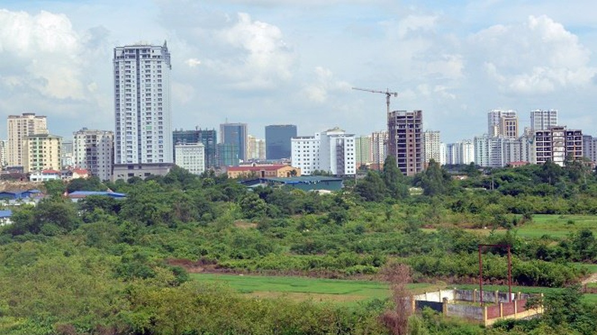 Theo quy hoạch đã được Quốc hội quyết định thì đến năm 2020, diện tích đất trồng lúa là 3.812,43 nghìn ha.