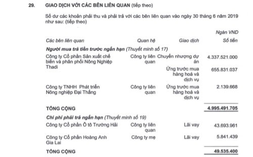 HNG tiếp tục bán công ty con cho Thaco - Ảnh 1.