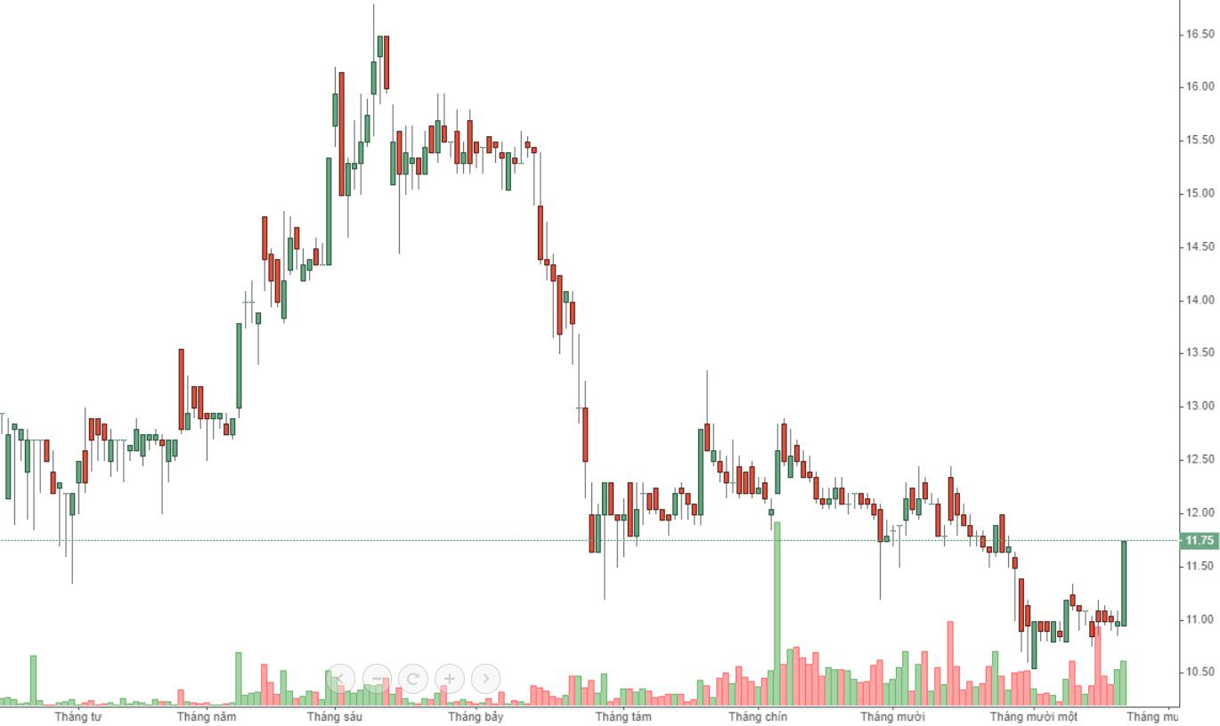 Nhiều cổ phiếu nhỏ 