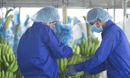 Hoàng Anh Gia Lai tiếp tục đăng ký bán 80 triệu cổ phiếu HNG