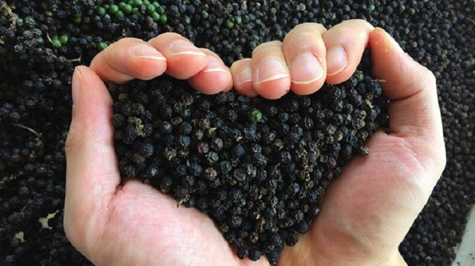 Việt Nam là nước xuất khẩu hồ tiêu lớn trên thế giới