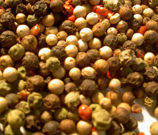 Tổng sản lượng hồ tiêu niên vụ 2009 ước đạt khoảng 95.000 tấn, tăng 4.000 tấn so với năm 2008.