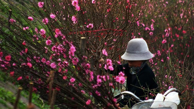 Có tới 10 nhóm mặt hàng tăng giá khiến chỉ số CPI tăng mạnh tháng đầu năm 2018. 