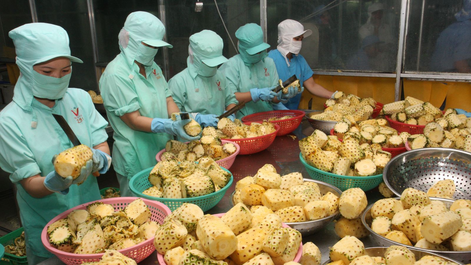 Trong 10 tháng, nông, lâm, thuỷ sản cả nước xuất khẩu mạnh nhất vào 4 thị trường: Trung Quốc, Mỹ, Nhật Bản và Hàn Quốc.