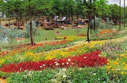 Đà Lạt là địa phương có thế mạnh về xuất khẩu hoa. Mỗi năm kim ngạch xuất khẩu mặt hàng này mang về từ 20 – 30 triệu USD. 