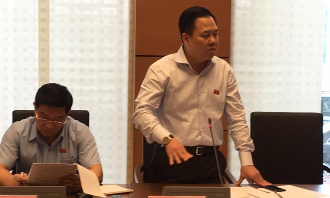 Đại biểu Nguyễn Hoàng Anh phát biểu tại tổ. Nhiều vị đại biểu chọn chuyên đề thứ hai cho giám sát tối cao của Quốc hội.